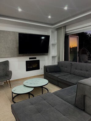 TV, fireplace, DVD player, books