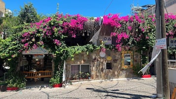 منوع
