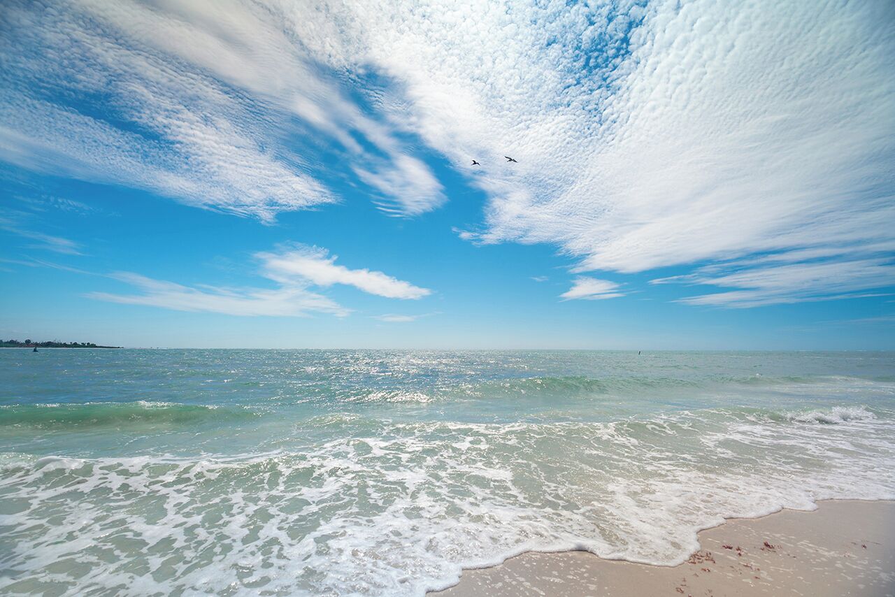 Strand