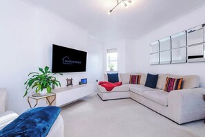 Fernseher, Arbeitsbereiche