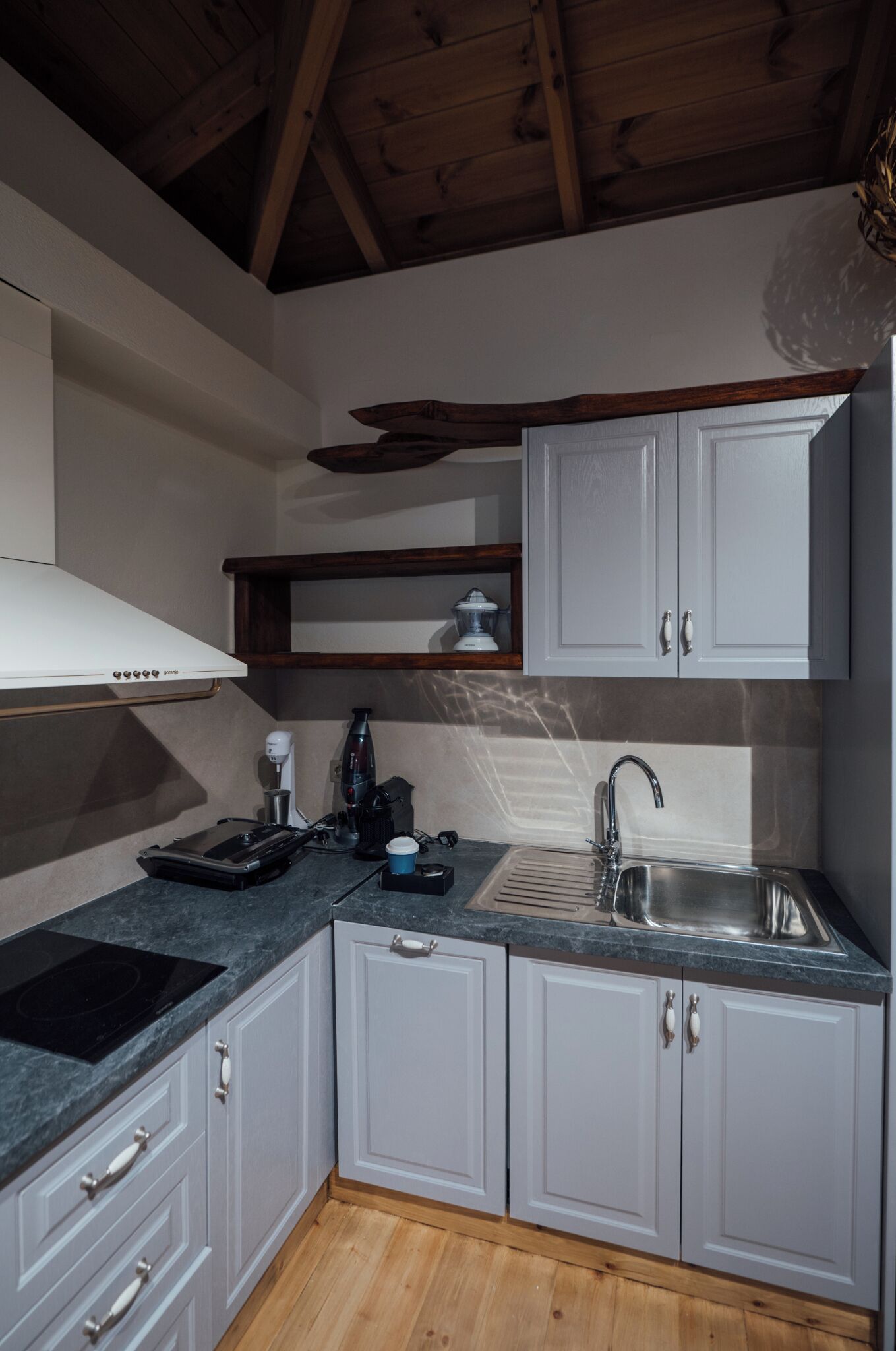 Superior suite | Privékeuken | Een koelkast met diepvriezer, een oven, een kookplaat, een vaatwasser