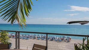 Strandblick mit Sonnenschirmen und Liegestühlen, einem klaren Himmel und einer Palme.