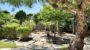 Un jardin avec des allées pavées de pierres, un banc en bois et divers arbres.