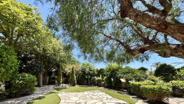 Un jardin avec des allées pavées de pierres, de l’herbe verte et divers arbres.