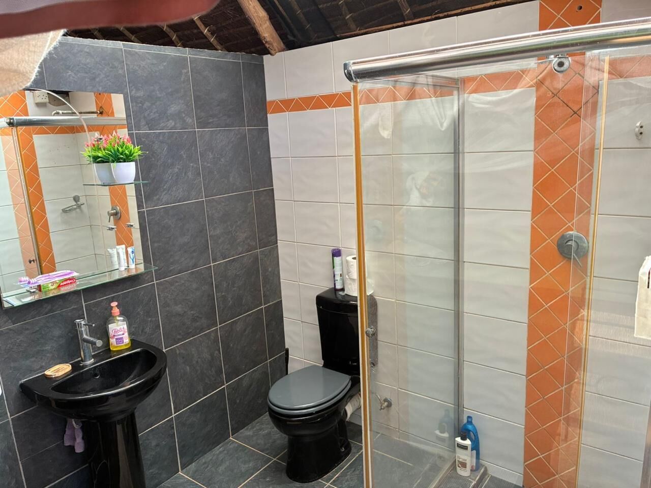 Shower, towels, soap, toilet paper