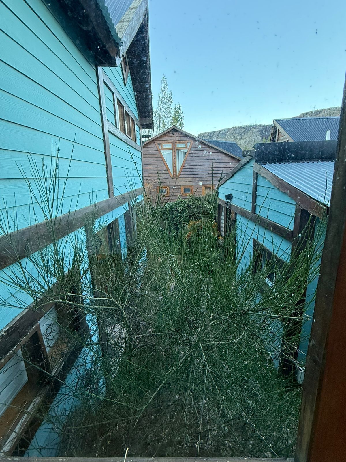 A narrow alleyway between buildings with a wooden fence and dense shrubbery.