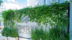 A building with a sign that reads 'SPIRIT' and a wall covered in green ivy. - Corporate Stays Spirit Villa Morra (Asunción)