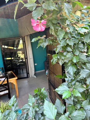 Une pièce avec vue sur un jardin, une table en bois et une chaise.