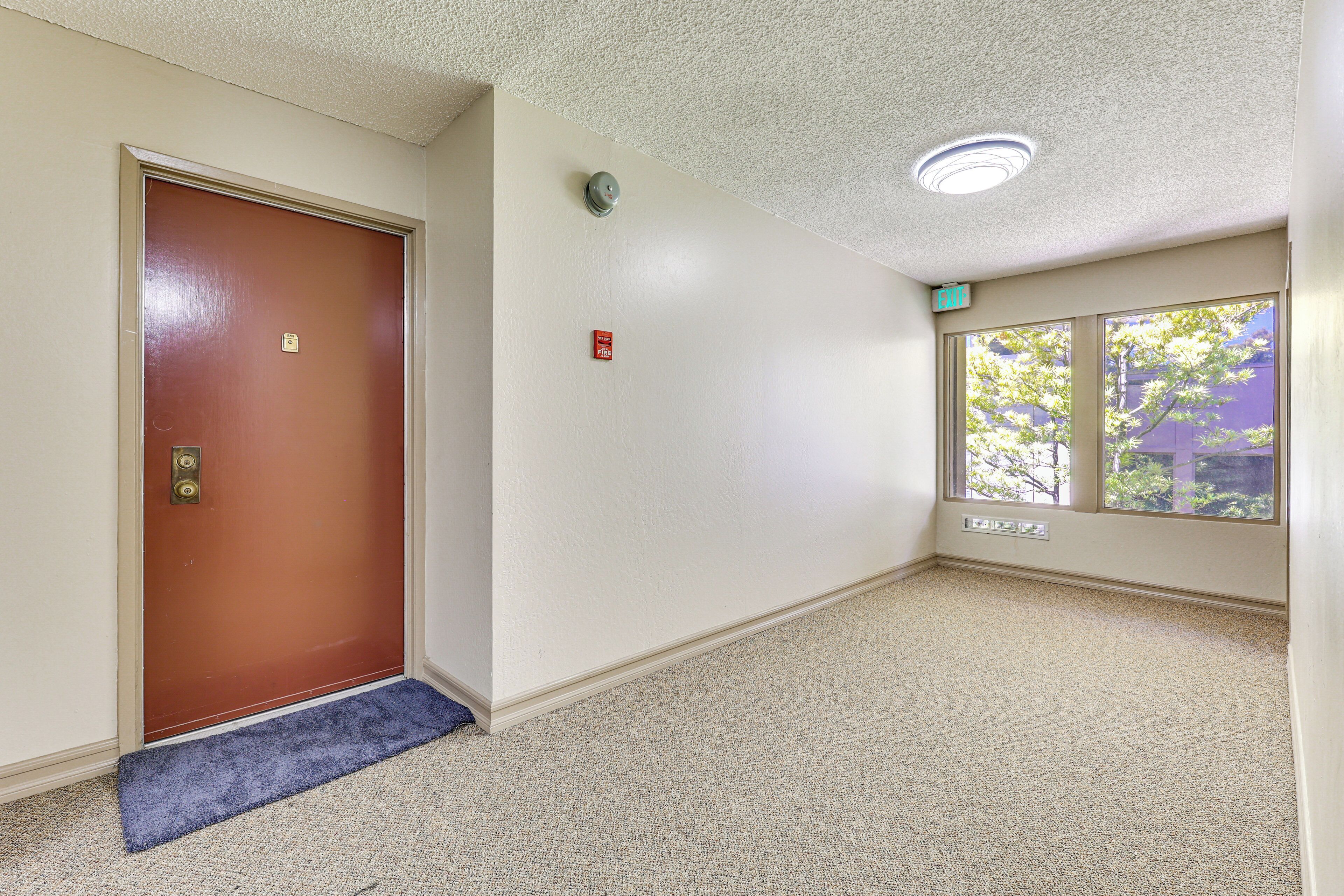 A hallway with a brown door, a blue carpeted entrance, a white wall, a window with a view of trees, and a ceiling light.