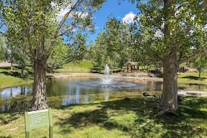 Apartment (3 Bedrooms) | Interior - Explore The Springs! Family-friendly Basement Unit (Colorado Springs)