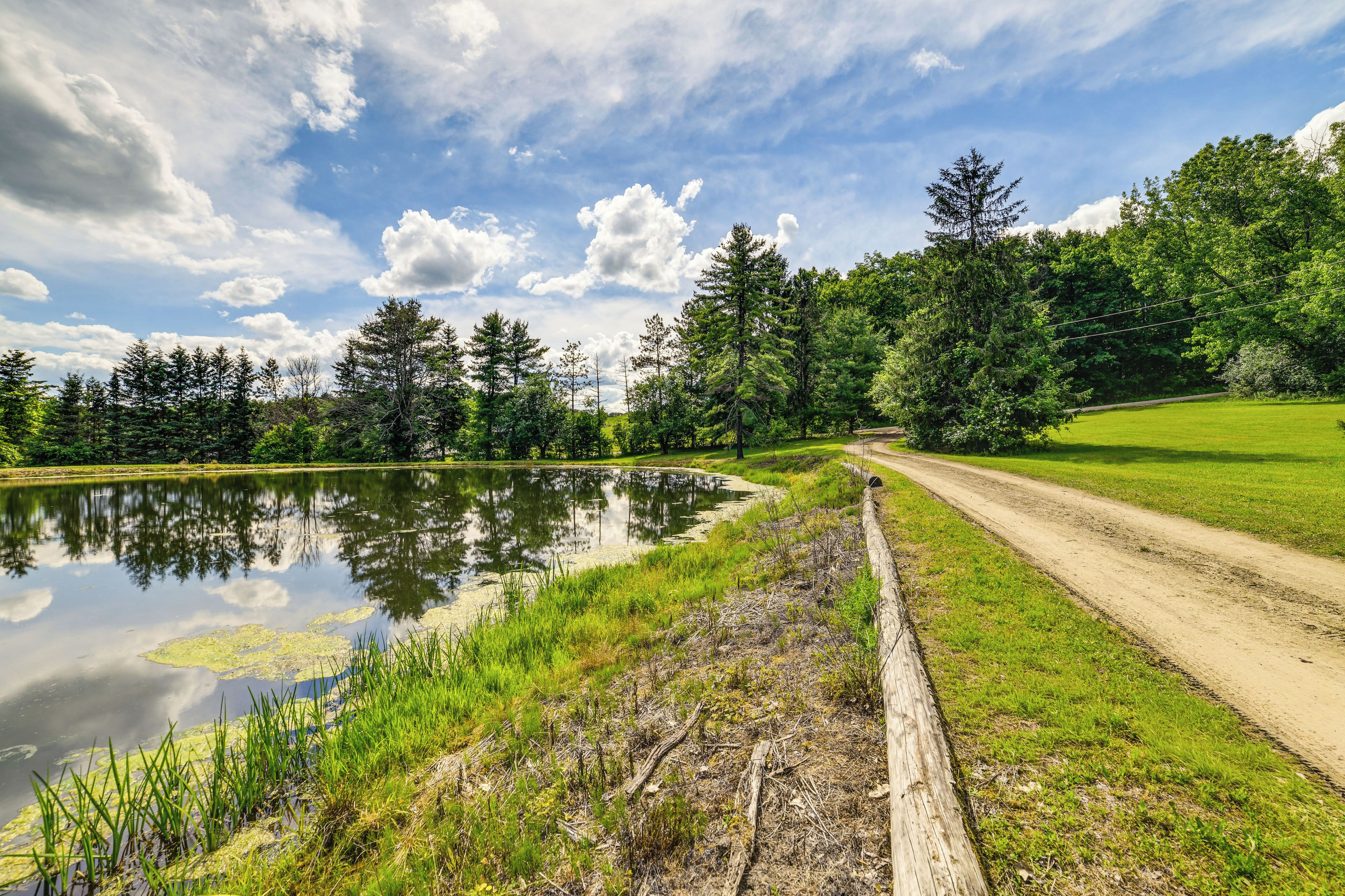 A serene lakeside view with a dirt path, lush greenery, and a clear sky.
