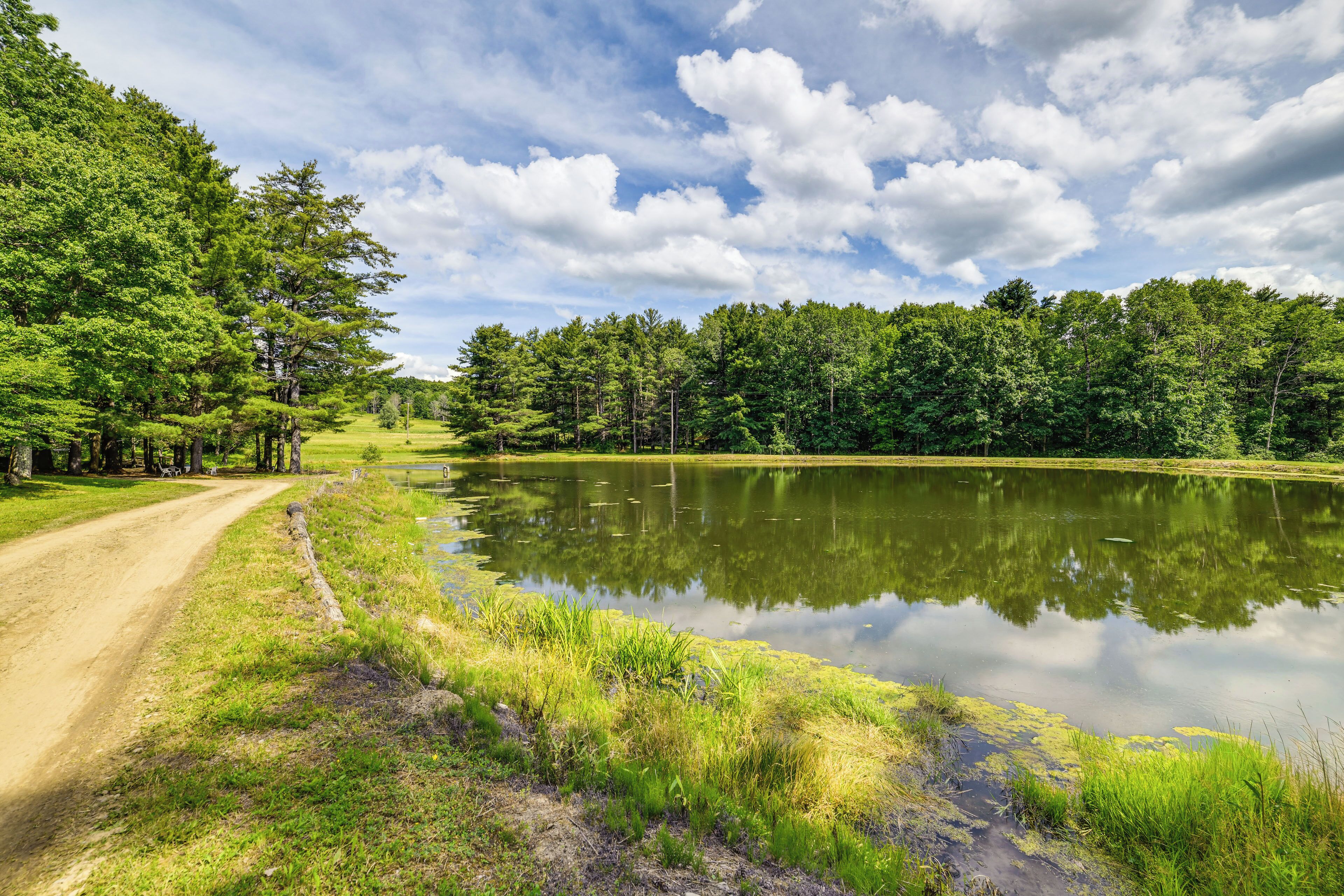 A dirt path leading to a lake surrounded by dense trees.