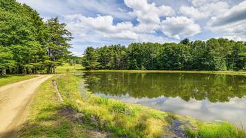 A dirt path leading to a lake surrounded by dense trees.