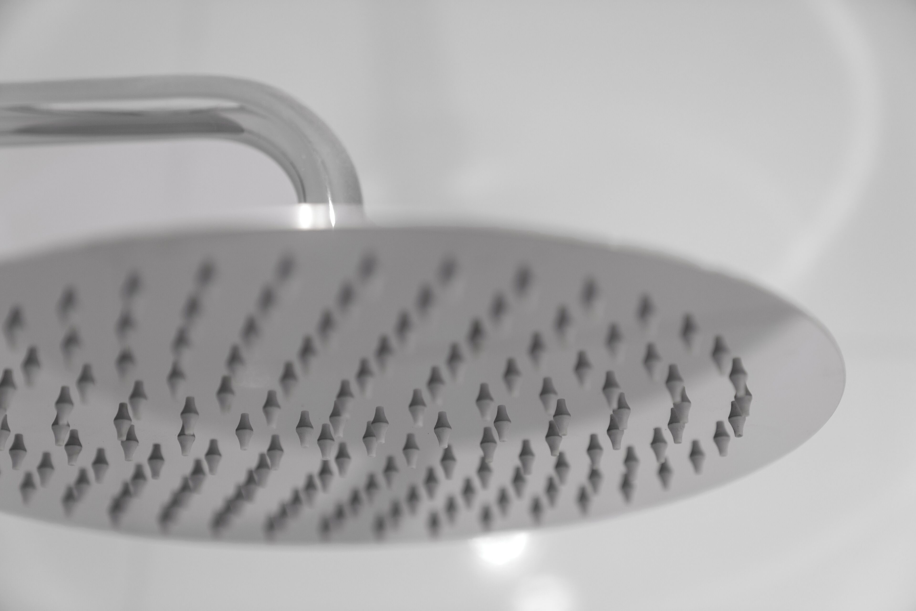 A shower head with a curved handle and multiple small nozzles.