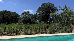 Ein klares Schwimmbecken mit Sandstrand und üppiger Bepflanzung im Hintergrund.