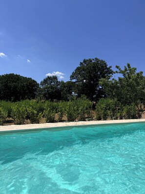 A clear pool with a sandy beach and dense greenery in the background. - Musorosso Trulli (Locorotondo)