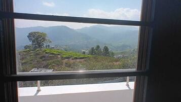 Family House, Garden View | Interior