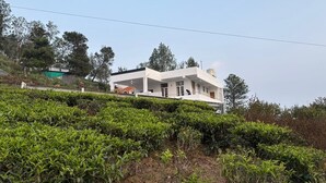 Un edificio moderno de dos pisos con techo plano, rodeado de frondosos matorrales de té verde.