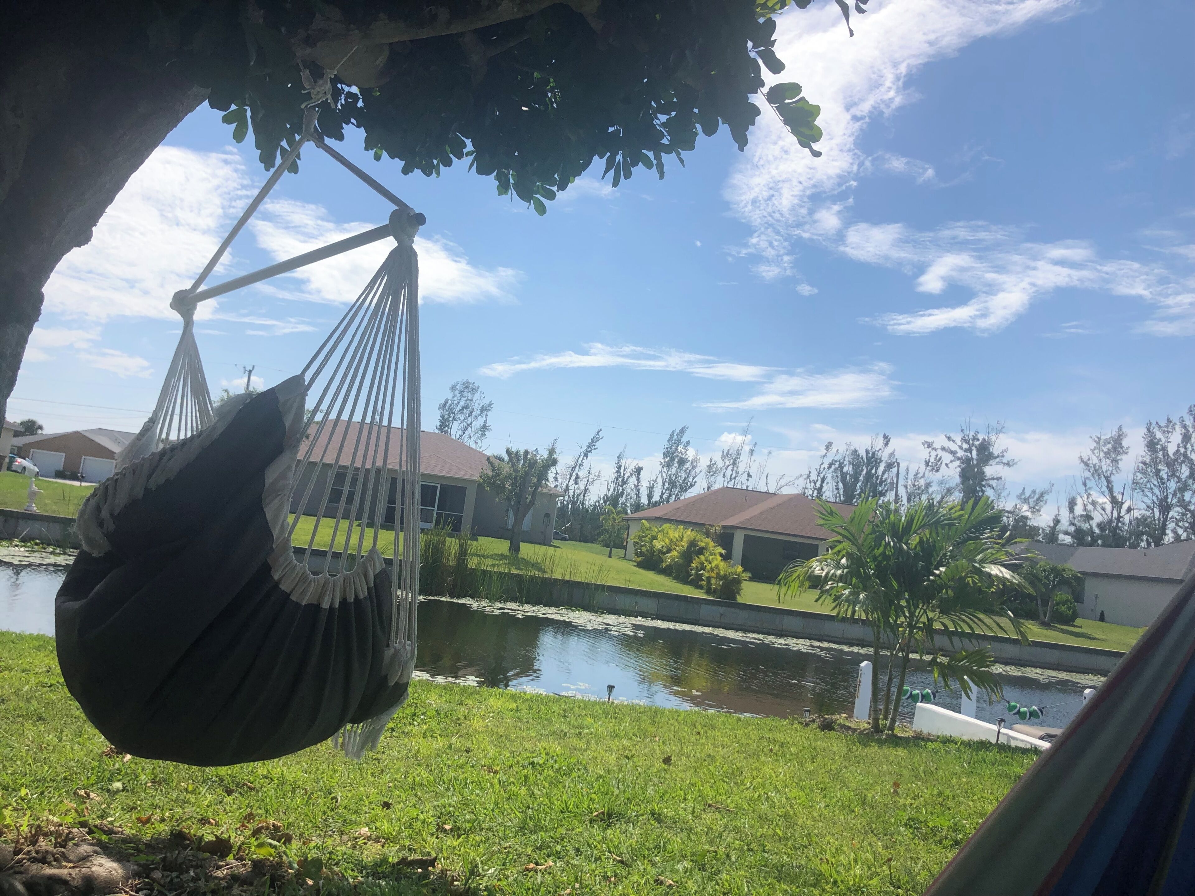 Uma rede sob uma árvore, uma área gramada, um corpo d'água e casas ao fundo.