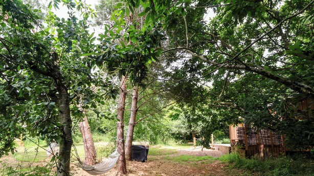 A natural outdoor area with trees, a hammock, and a wooden structure. - Brambly Cabin (Crediton)