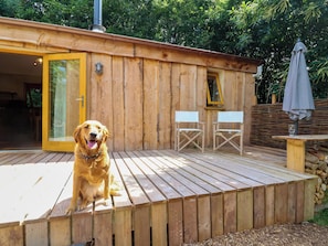 Eine Holzterrasse mit einem Hund, einer Glastür und zwei Klappstühlen.