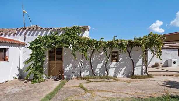 A white building with a tiled roof, a wooden door, and a window with shutters.