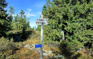 Miscellaneous - Stunning home in Sjusjøen with sauna (Sjusjøen)