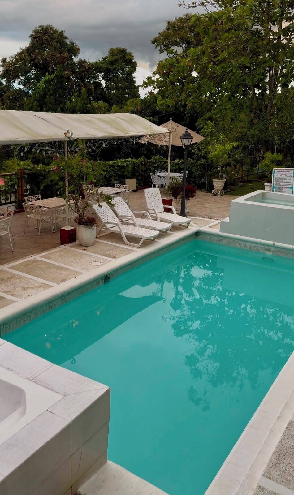 A swimming pool with lounge chairs and umbrellas, surrounded by greenery.
