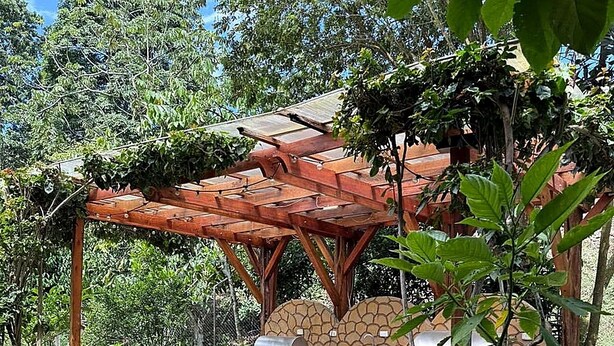 Un espacio de estar al aire libre con mesas y bancos de piedra, rodeado de follaje y árboles.