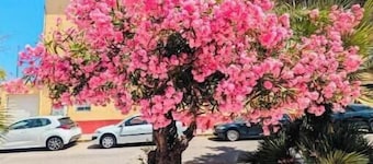 1 min from the beach: bright, new house