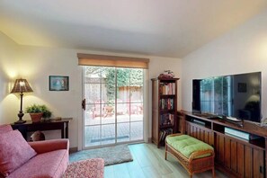 Smart-TV, Kamin