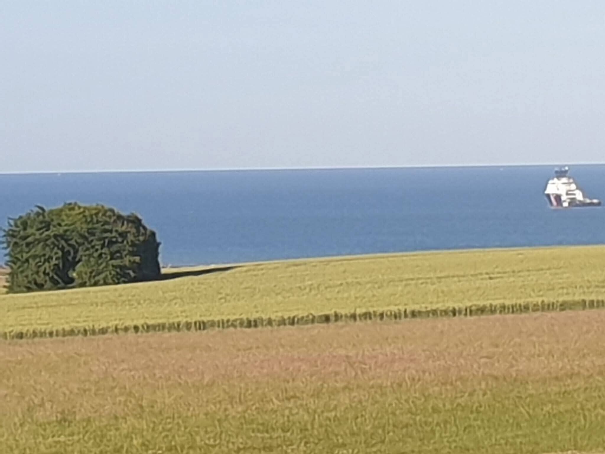 Et kystlandskab med et træ og et fjernt skib.