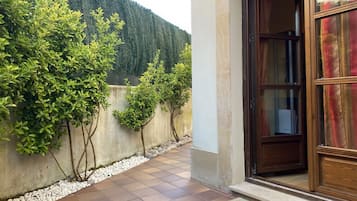 Detalle del exterior
