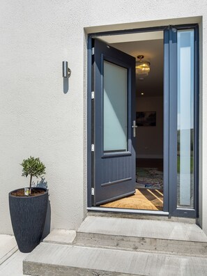 Eine moderne Tür mit Fensterglas, ein kleiner Blumentopf und ein Betontrittstein, der zu einem Raum mit einem gemusterten Teppich führt.