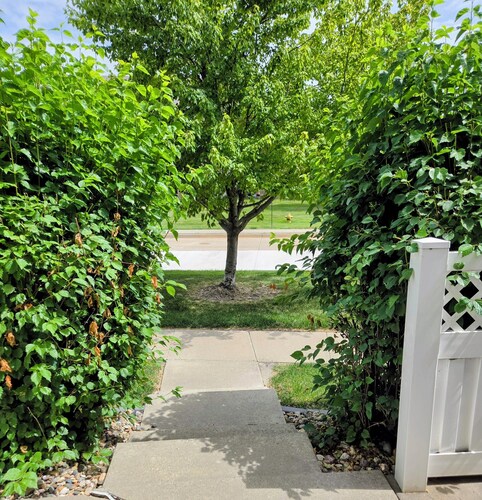 3-bedroom townhome in serene West Des Moines with AC