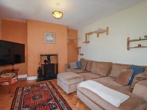Ein Wohnzimmer mit Sofa, Fernseher, Kamin und einem gemusterten Teppich.