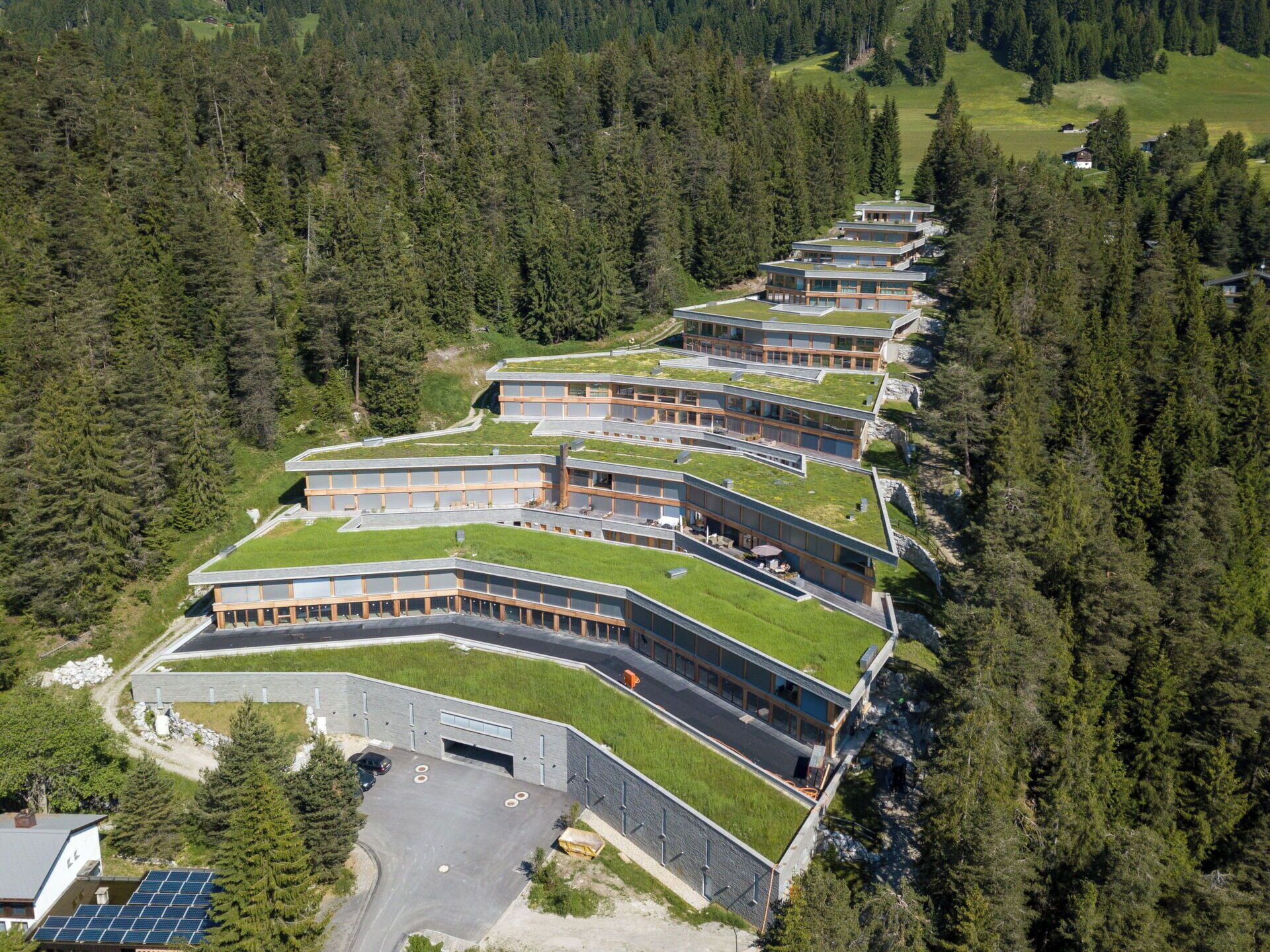 Wald, Bergstation, Steigung, Lärche, Immergrün, Tropische Und Subtropische Koniferenwald, Eco Hotel