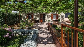 A vineyard with a stone building, a pathway, and a wooden pergola. - Stunning private villa for 6 guests with A/C, WIFI, TV and terrace (Pazin)