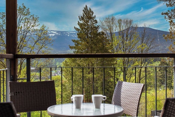 Meubles, Mobilier De Jardin, Chaise, Ombre, Tableau De Plein Air, Plante D'Appartement, Patio, Cour, Conception, Balcon