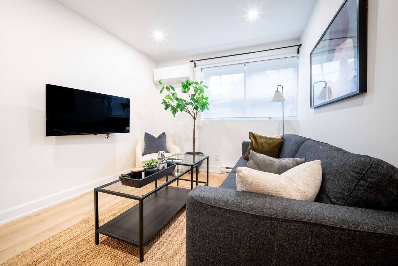 A modern living room with a flat-screen TV, a grey sofa, a coffee table, a plant, and a window with blinds.