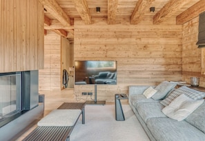 TV, fireplace, video games, DVD player