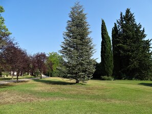 Àrea exterior de l'allotjament