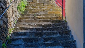 A set of stone steps leading up to a building with a metal handrail.