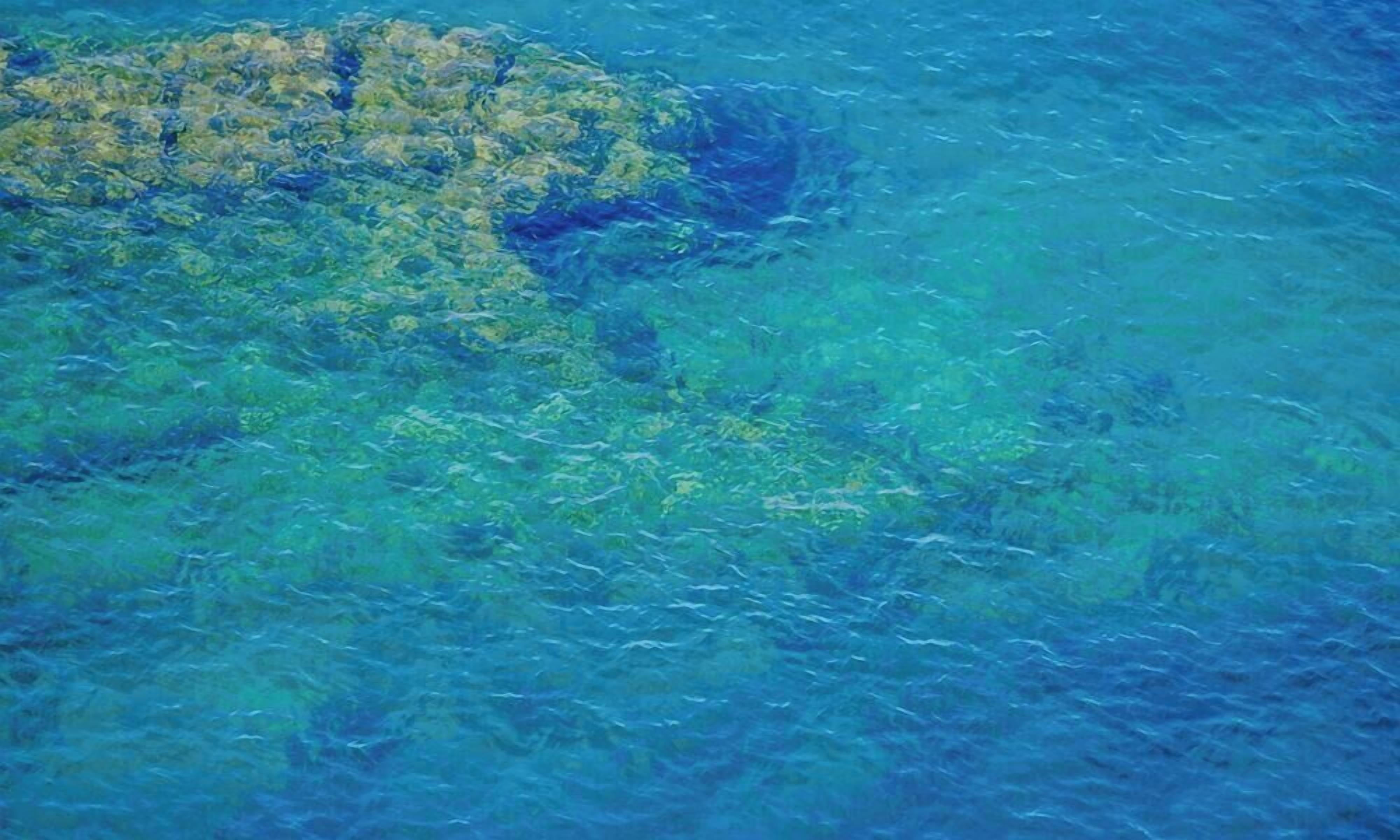 鸟瞰图