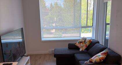 Downtown Luxury Suite