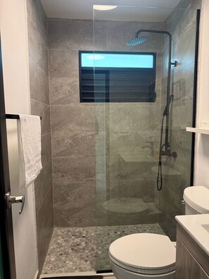 Shower, hair dryer, towels, soap - Lovely house near everything! 3BR w/pkng 6 Guests (Carolina)