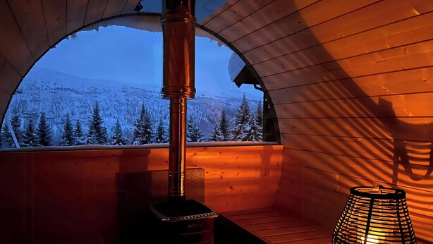 Eine Holzhütte mit Holzofen und Blick auf einen verschneiten Berg.
