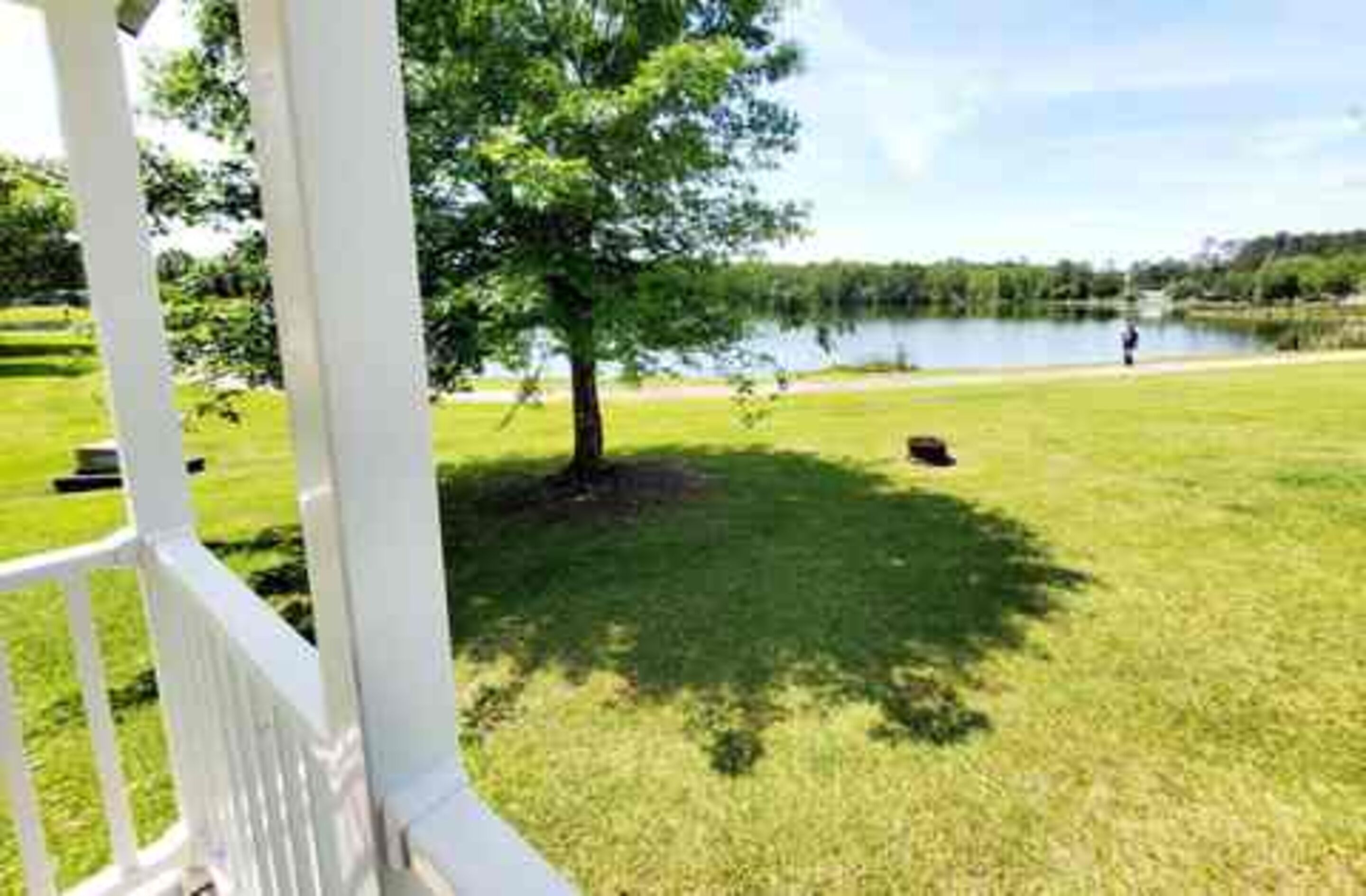 A grassy area with a tree and a body of water.