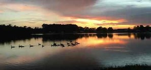 A calm lake at sunset with reflections of the sky and silhouettes of trees and boats.