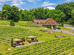 Local wineries, breweries, and small-town charm in Front Royal
 - Mountain Views w/Hot Tub, 95” TV & Trail Access (Shenandoah Farms)